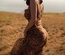 Demi Dress