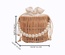 Rattan Woven Bag