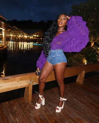 Tiffany Top Purple