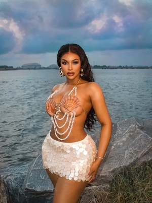 Amelia Beige Skirt (Large)